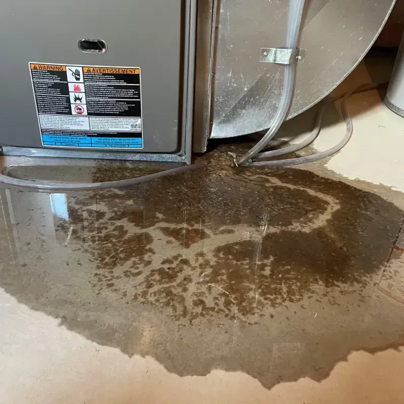 Appliance Leak Cleanup in Williams Bay, WI